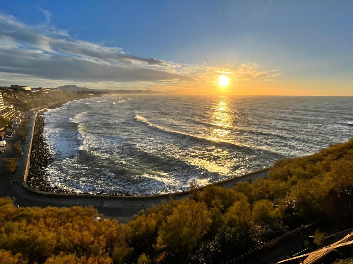 Ecrin De Verdure Entre Foret Et Ocean Saint-Martin-de-Seignanx Екстер'єр фото